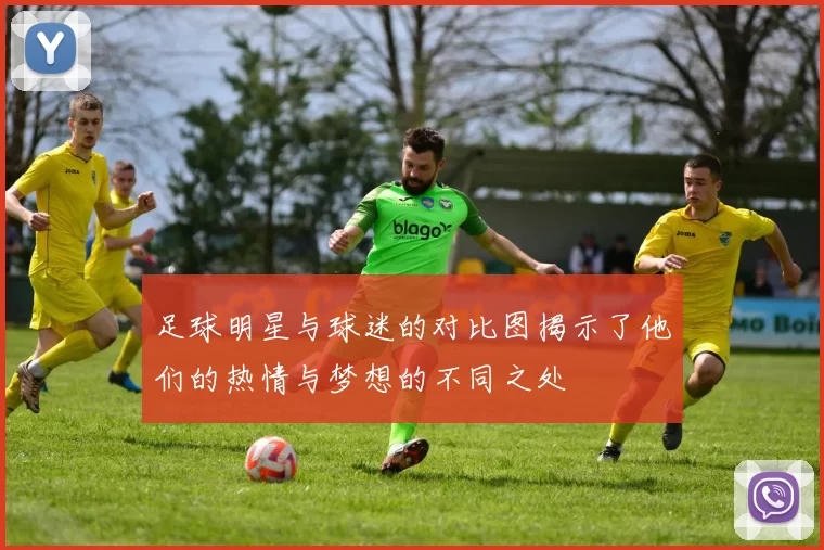 足球明星与球迷的对比图揭示了他们的热情与梦想的不同之处