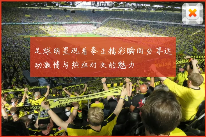 足球明星观看拳击精彩瞬间分享运动激情与热血对决的魅力