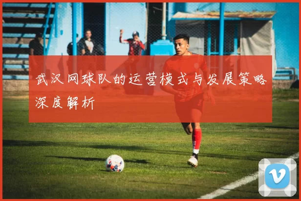 武汉网球队的运营模式与发展策略深度解析