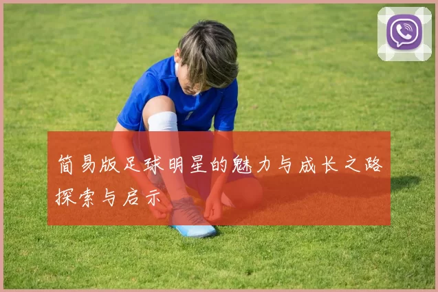简易版足球明星的魅力与成长之路探索与启示