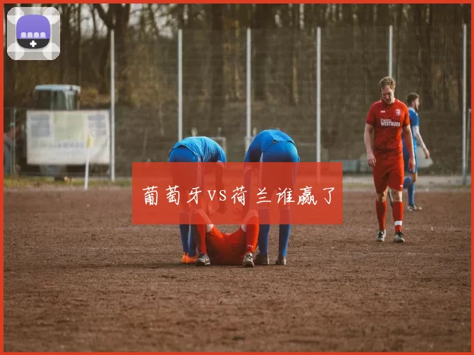 葡萄牙vs荷兰谁赢了
