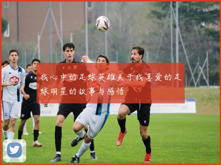 我心中的足球英雄关于我喜爱的足球明星的故事与感悟