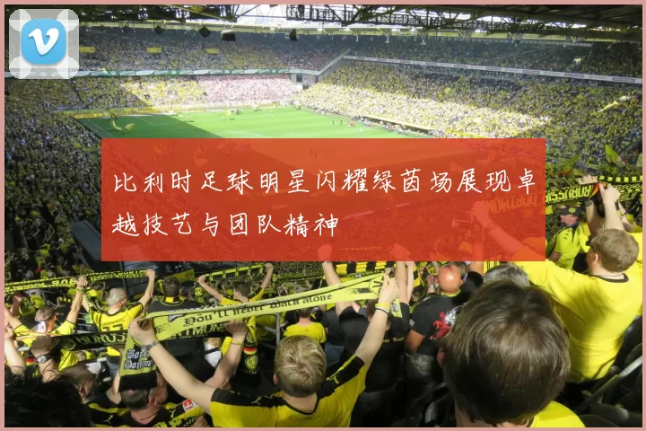 比利时足球明星闪耀绿茵场展现卓越技艺与团队精神