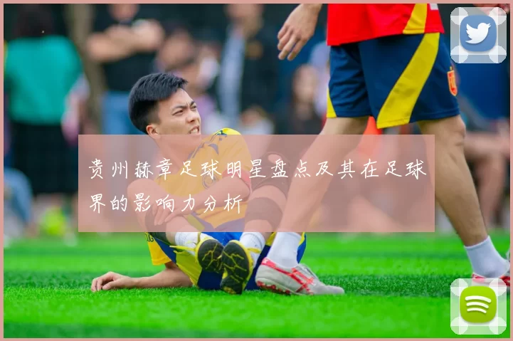 贵州赫章足球明星盘点及其在足球界的影响力分析