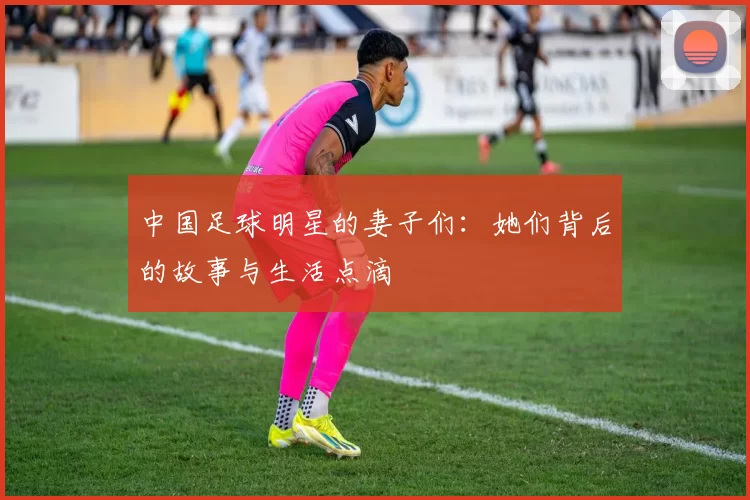 中国足球明星的妻子们：她们背后的故事与生活点滴