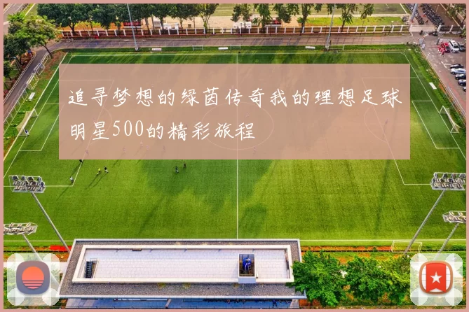追寻梦想的绿茵传奇我的理想足球明星500的精彩旅程