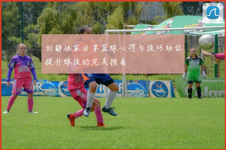 刘静独家分享篮球心得与技巧助你提升球技的完美指南