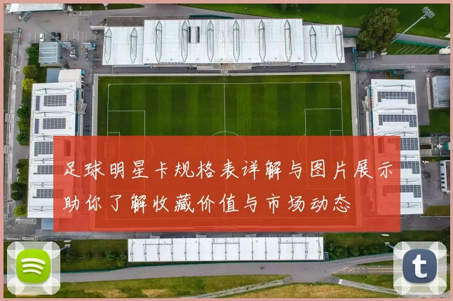 足球明星卡规格表详解与图片展示助你了解收藏价值与市场动态