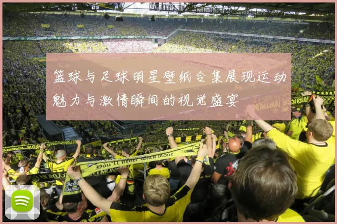 篮球与足球明星壁纸合集展现运动魅力与激情瞬间的视觉盛宴