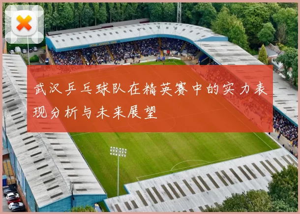 武汉乒乓球队在精英赛中的实力表现分析与未来展望