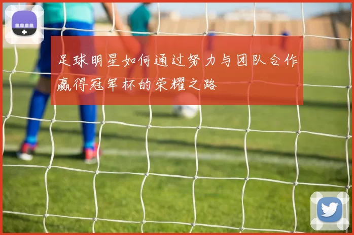 足球明星如何通过努力与团队合作赢得冠军杯的荣耀之路