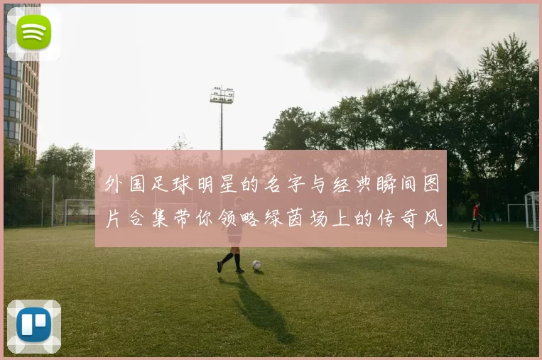 外国足球明星的名字与经典瞬间图片合集带你领略绿茵场上的传奇风采