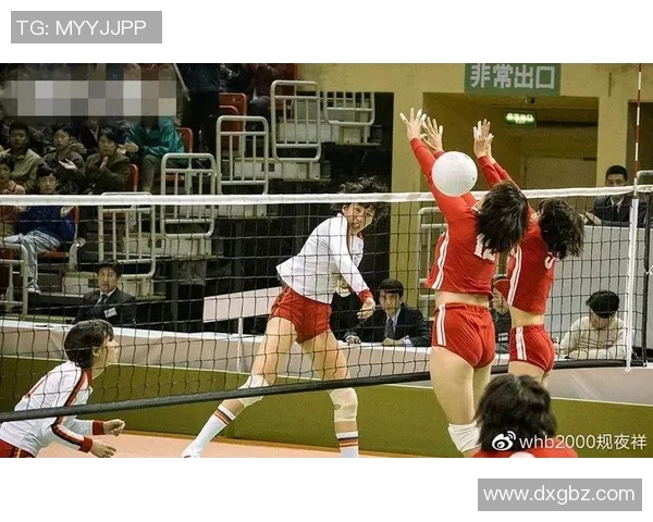 北京排球队的蜕变与成长:一段排球精神的传承与创新之旅 北京排球队的蜕变与成长:一段排球精神的传承与创新之旅