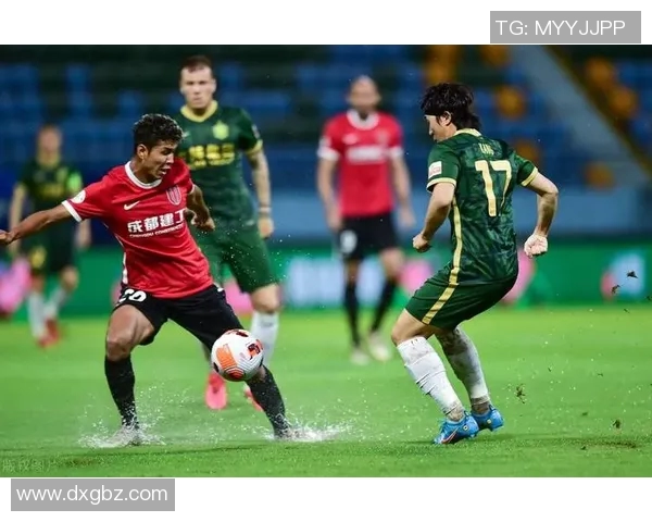 成都排球队技术争议引发热议球迷与专家观点碰撞探讨战术发展