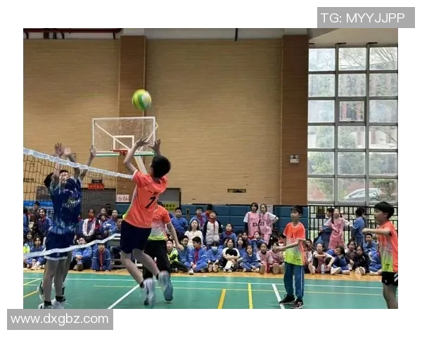 排球盛宴：深入探索杭州排球队背后的力量与荣耀