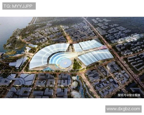 杭州乒乓球队快攻革新之路探索与实践的深度剖析与展望