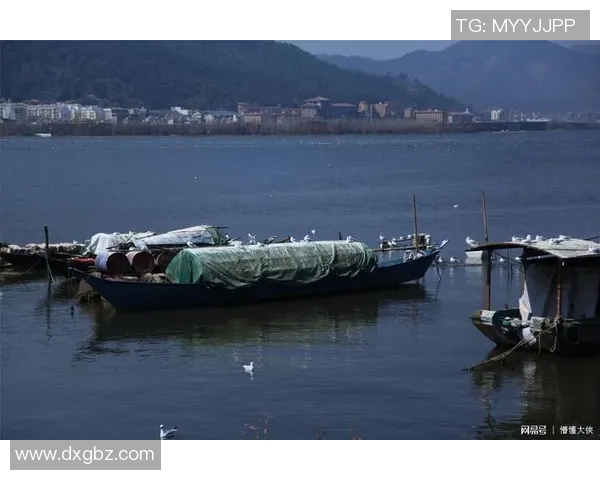 深度对话：杨丽如何在排球人生中追逐梦想与挑战