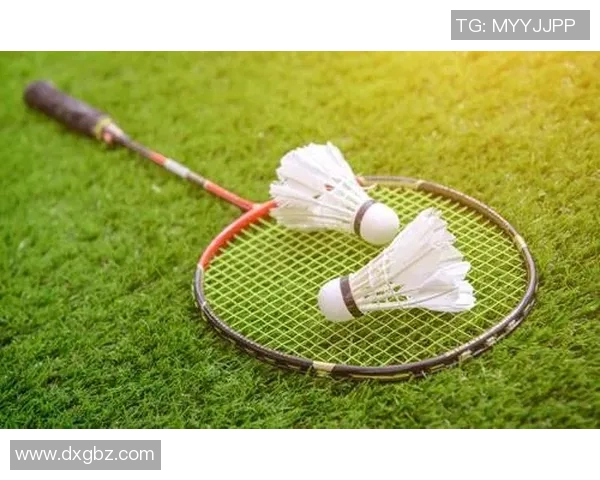 羽毛球的魅力与激情南京羽毛球队的训练与比赛全景探秘