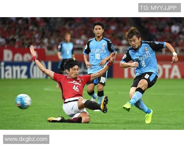 水户蜀葵与喜悦的对决探讨情感与自然的交融之美