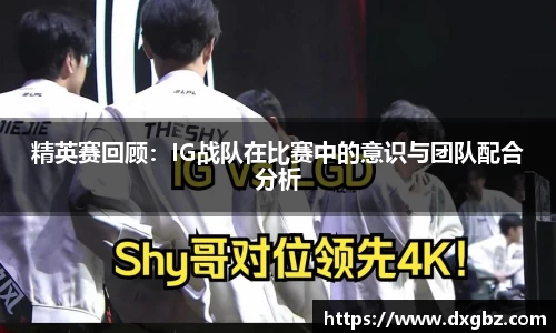 bg大游直营