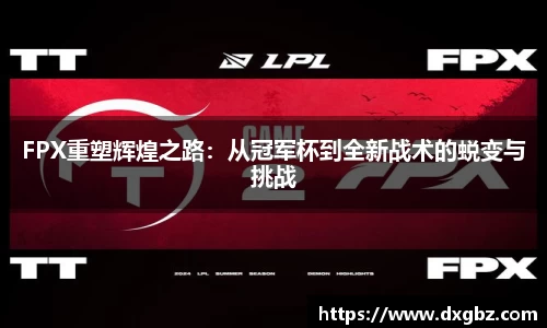 bg大游直营