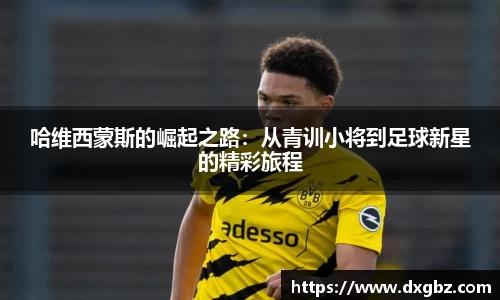 bg大游直营